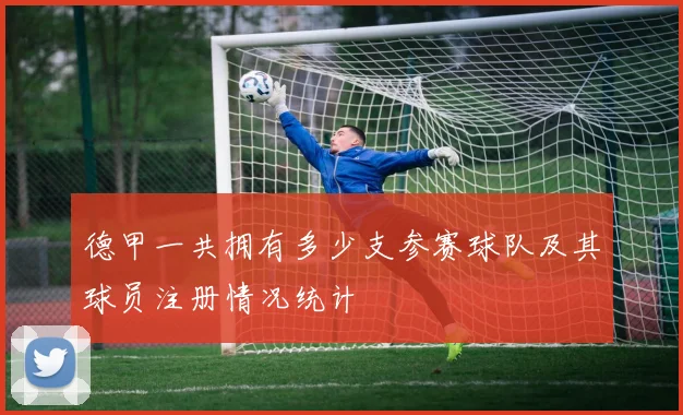 德甲一共拥有多少支参赛球队及其球员注册情况统计