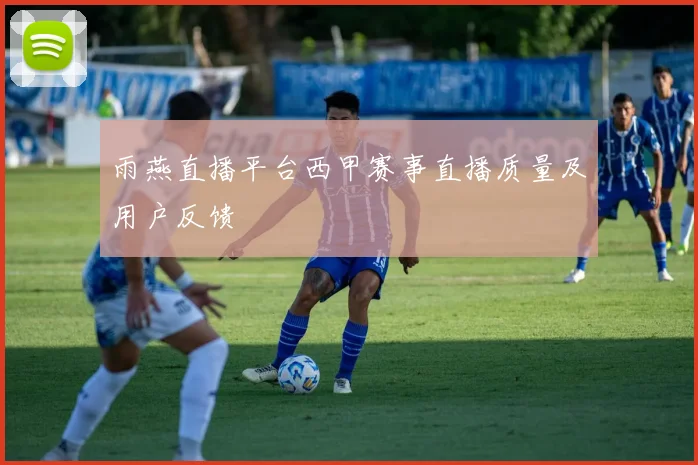 雨燕直播平台西甲赛事直播质量及用户反馈
