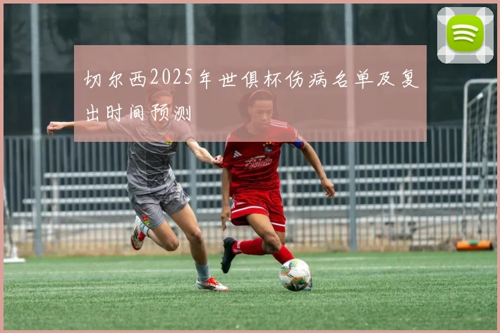 切尔西2025年世俱杯伤病名单及复出时间预测