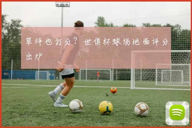 草坪也打分？世俱杯球场地面评分出炉