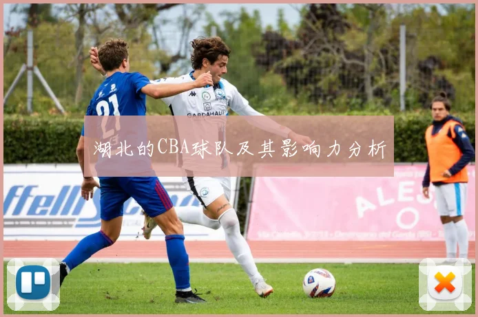 湖北的CBA球队及其影响力分析