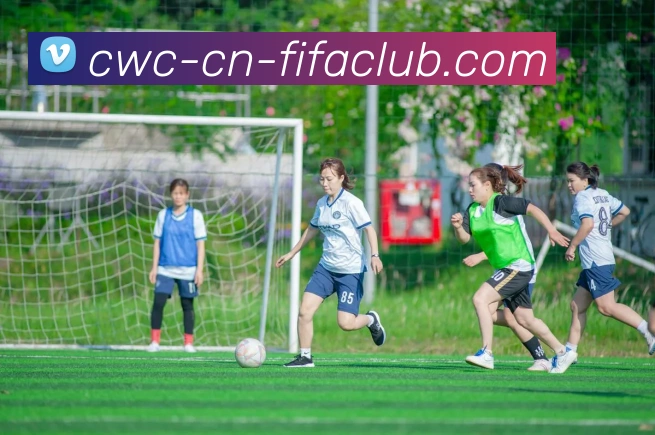 世界杯买球服务体系